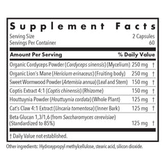 Cordyceps and Lion's Mane mushroom blend