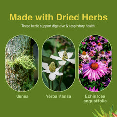 Phytocillin supports digestive health