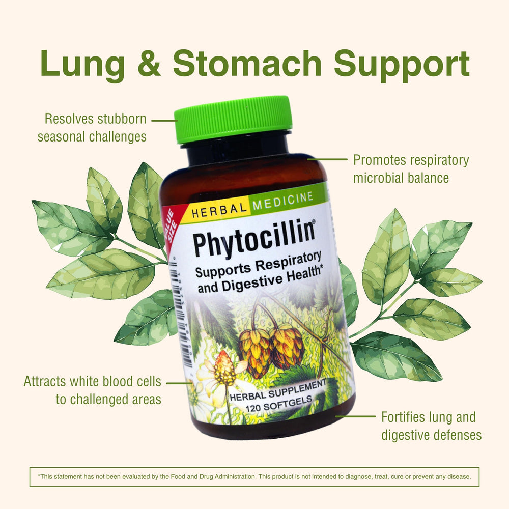 Phytocillin supports respiratory health