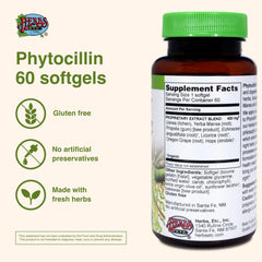Side view of Phytocillin softgels bottle on white background
