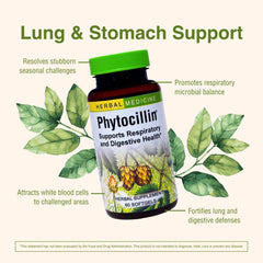 Open Phytocillin bottle with capsules spilling onto surface