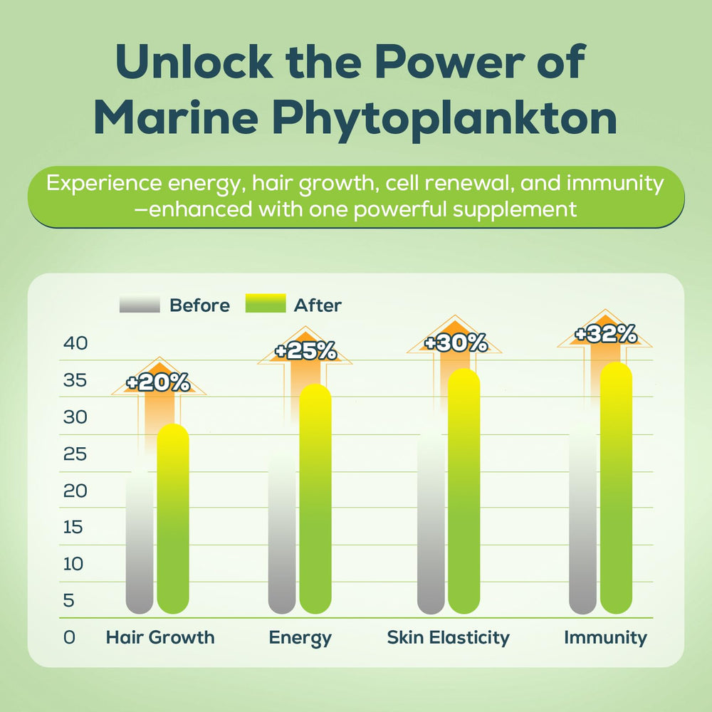 Illustration of phytoplankton strains Nannochloropsis Gaditana, Tetraselmis, and Skeletonema