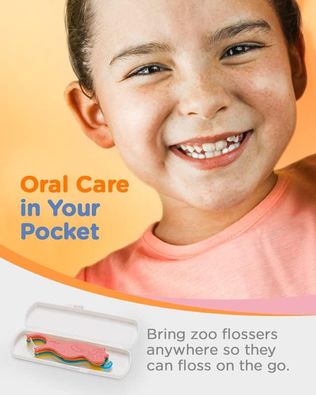 300 piece floss picks in storage case