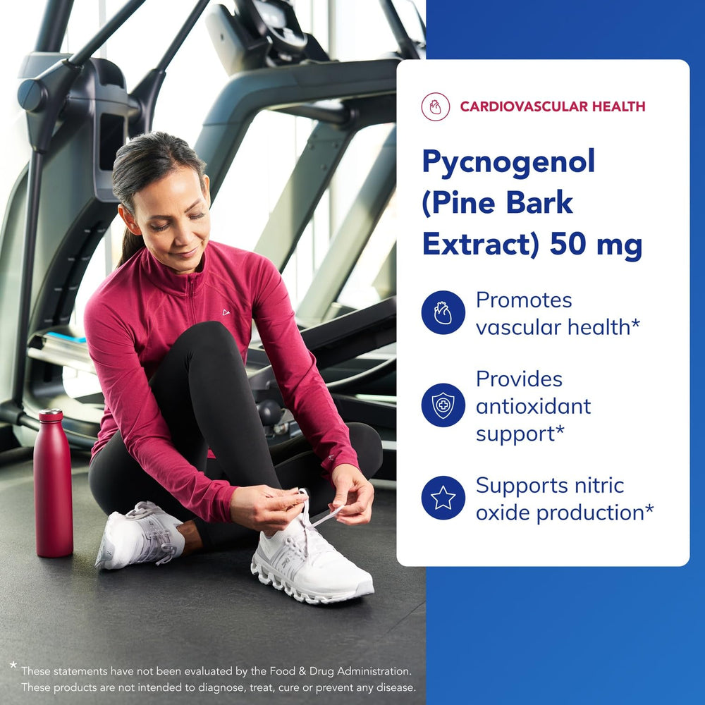 Pine bark extract ingredients overview