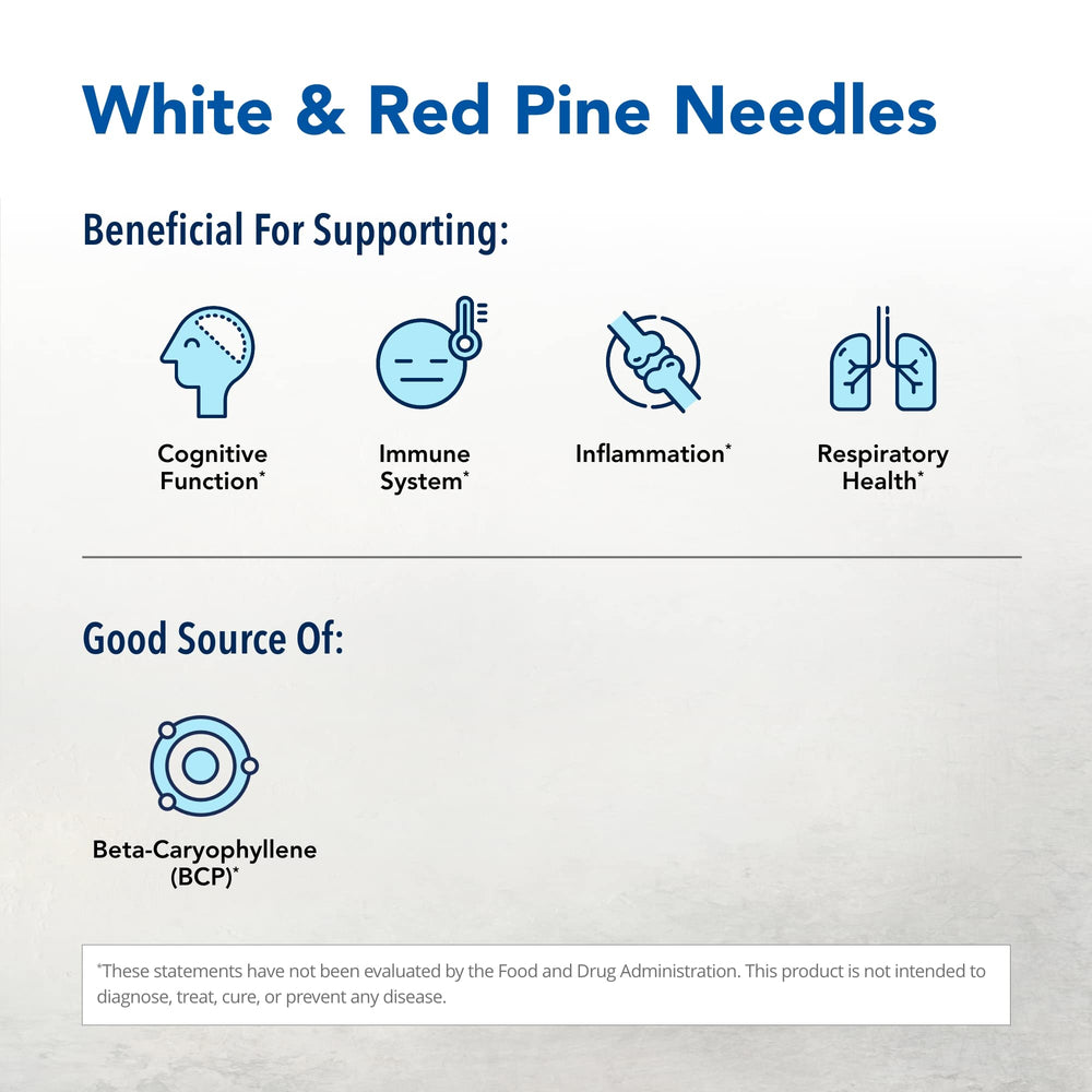 Close-up of red and white pine needles