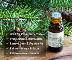 Two 10ml essential oil bottles set