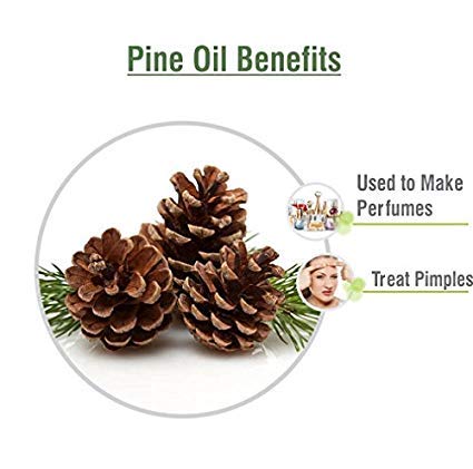 Wooden dropper bottle of pine oil