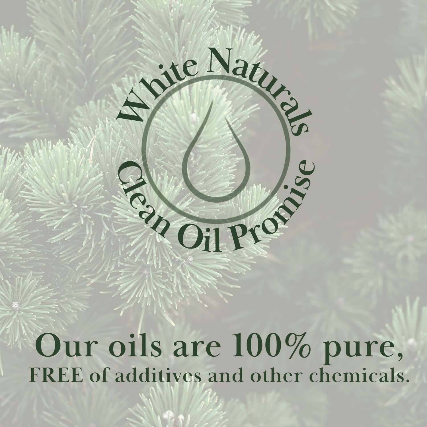 Pine essential oil for skin care application