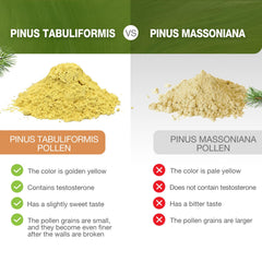 Pine pollen powder being mixed into a beverage