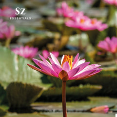 Therapeutic grade and vegan logo with Pink Lotus