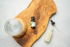 Pinus resinosa needles and twigs used to steam-distill Norway Pine oil