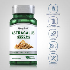 Piping Rock single capsule opened to reveal concentrated astragalus powder inside
