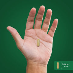 Piping Rock supplement staged on bathroom counter showing everyday routine convenience benefit