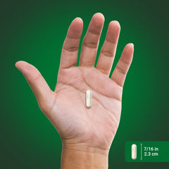 Piping Rock supplement facts panel showing ingredient transparency