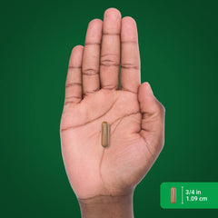 Two-pack Cinnamon Capsules product photo