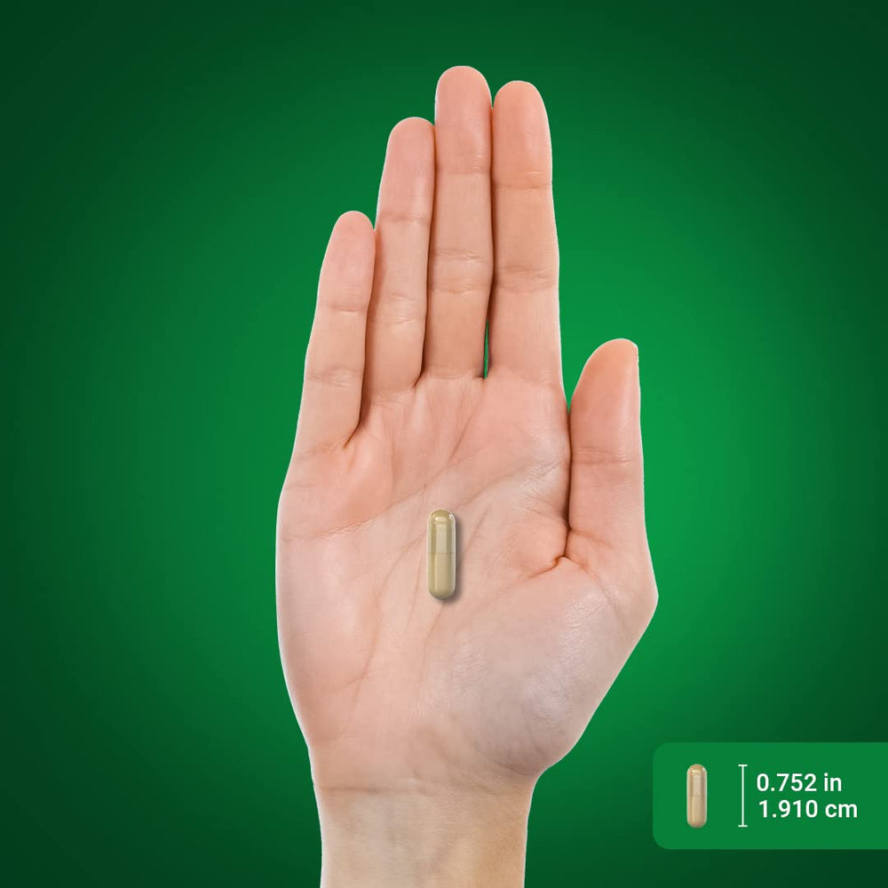 Piping Rock bottle on a kitchen shelf suggesting everyday supplement use