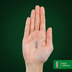 Piping Rock hibiscus capsules on kitchen counter for everyday use