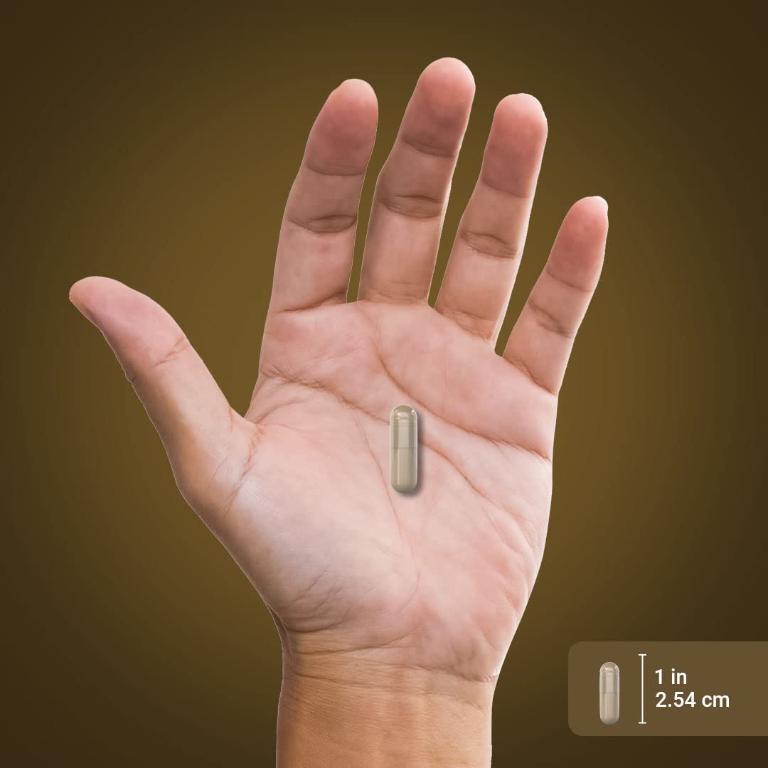 Laboratory tested Lions Mane supplement product testing