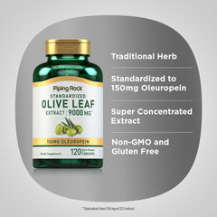 Macro shot of olive leaf extract powder texture highlighting concentrated formula