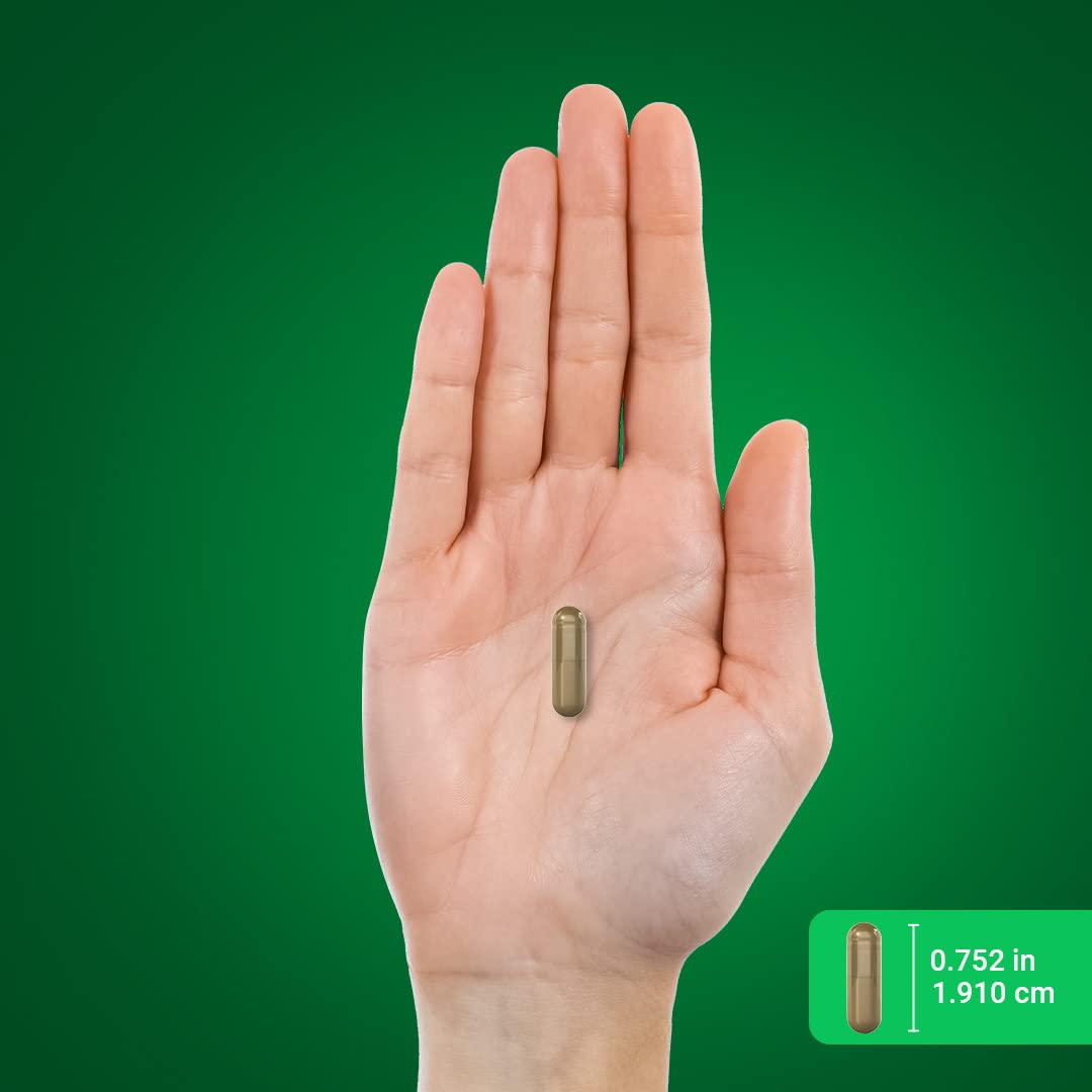 Piping Rock wormwood bottle held in hand conveying portable supplement convenience