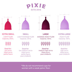 Pixie Cup Plum Large reusable icon conveys long-term savings and landfill reduction.