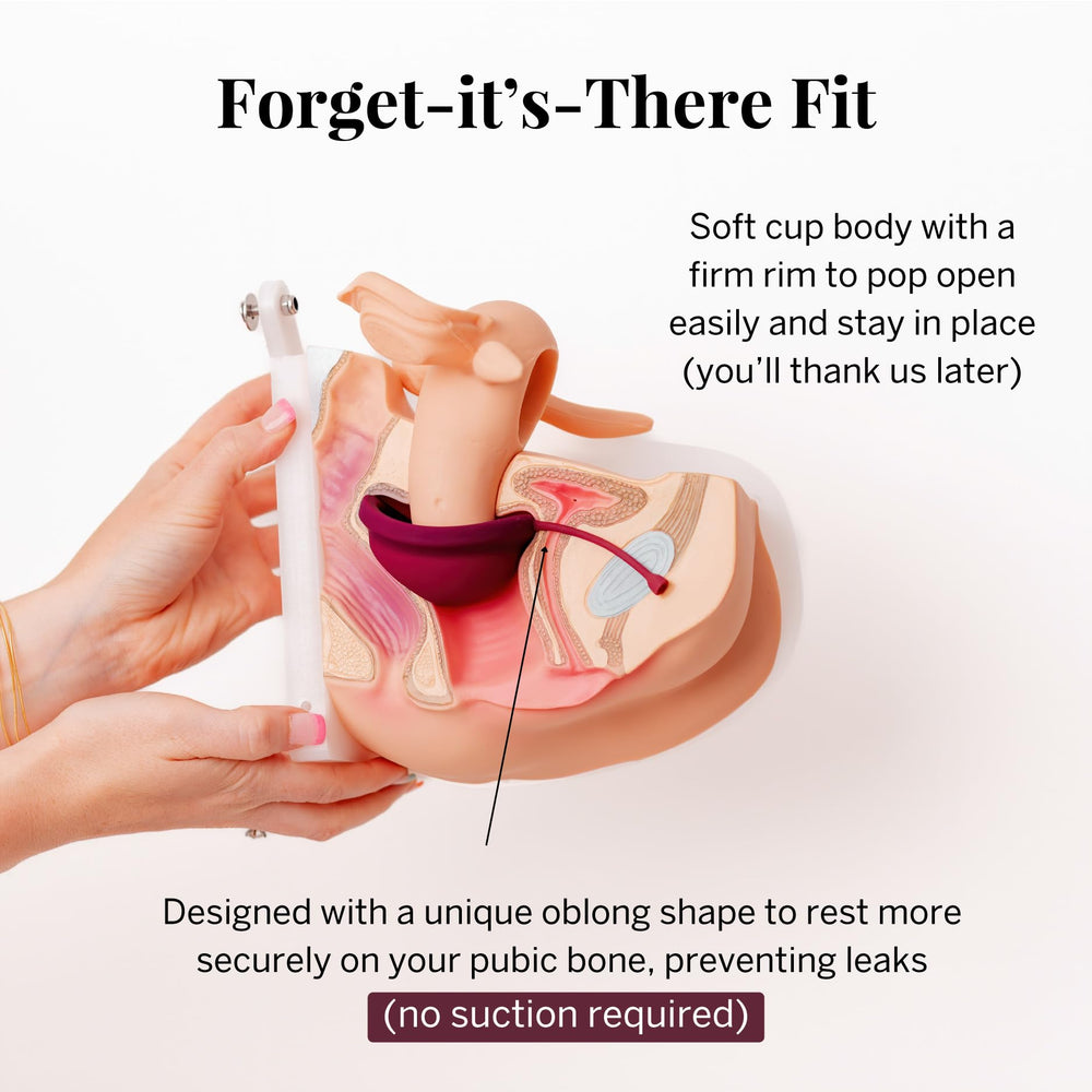 Pixie Disc oblong shape resting on the pubic bone for comfortable wear.