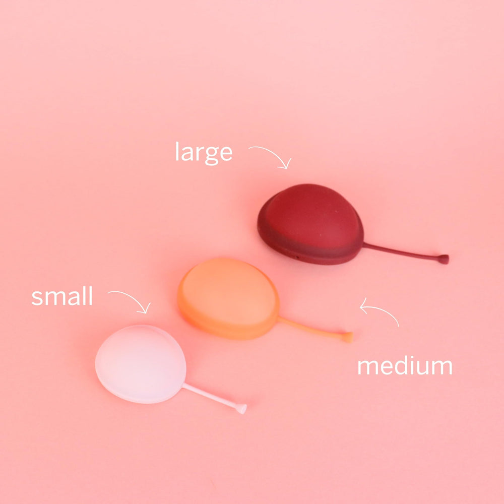 Pixie Disc storage bag keeps the product portable and clean.