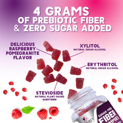 Plant-based blend of fiber and prebiotics in gummies