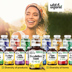 Plant-based vegetable cellulose capsule close-up