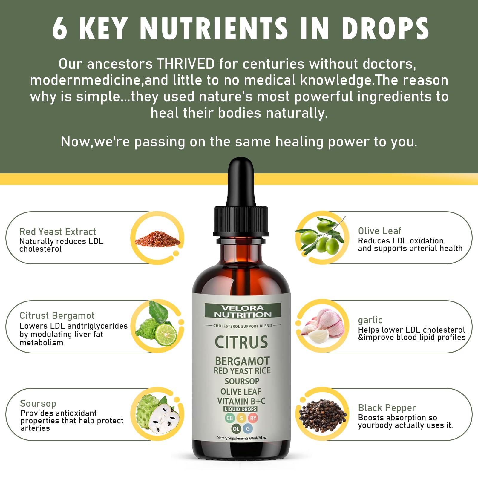 Plant-based vegan non-GMO dietary supplement badge