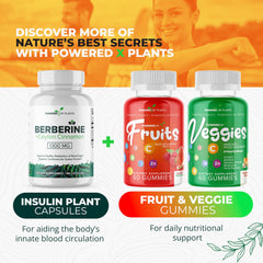 Plant-based wellness concept illustration with leaves and capsules