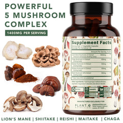 Lion's Mane, Reishi, Chaga, Maitake and Shiitake mushroom capsules