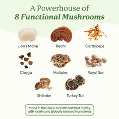 Plant People WonderDay label close-up highlighting the 8-mushroom blend