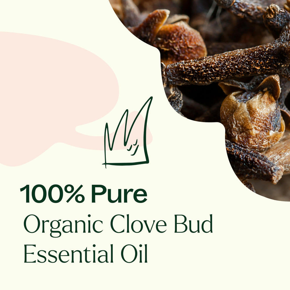Aromatherapy diffuser with clove bud oil blend
