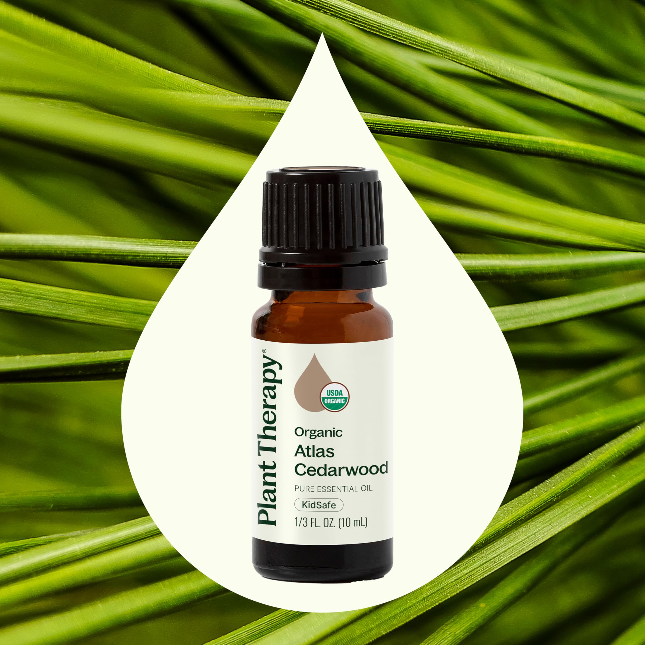 Top view of cedarwood atlas oil bottle with dropper