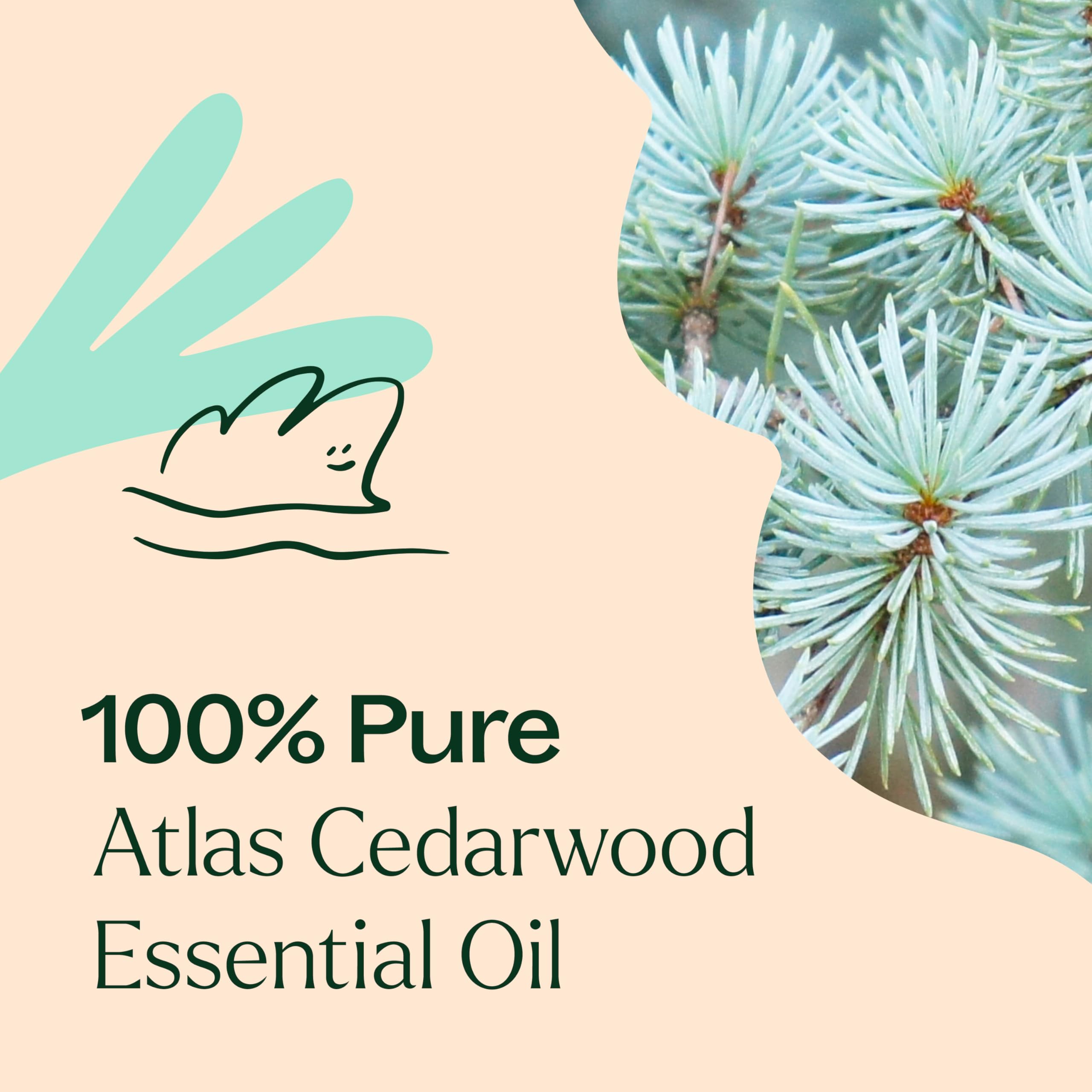 Diffuser releasing Cedarwood Atlas essential Oil aroma
