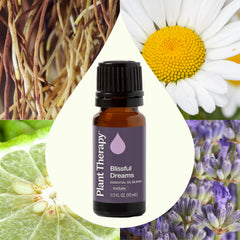Lavender, Roman Chamomile, Bergamot, and Vetiver oils visual