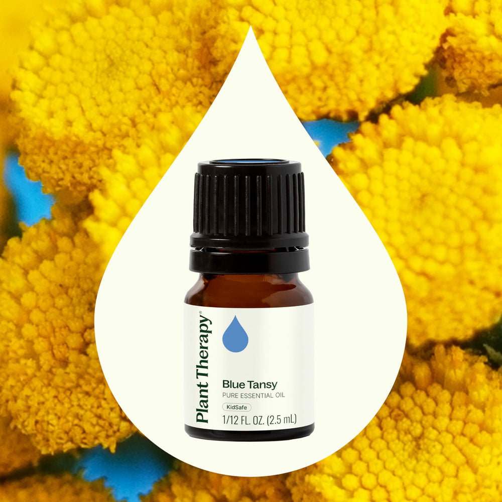 Blue Tansy essential oil bottle close-up