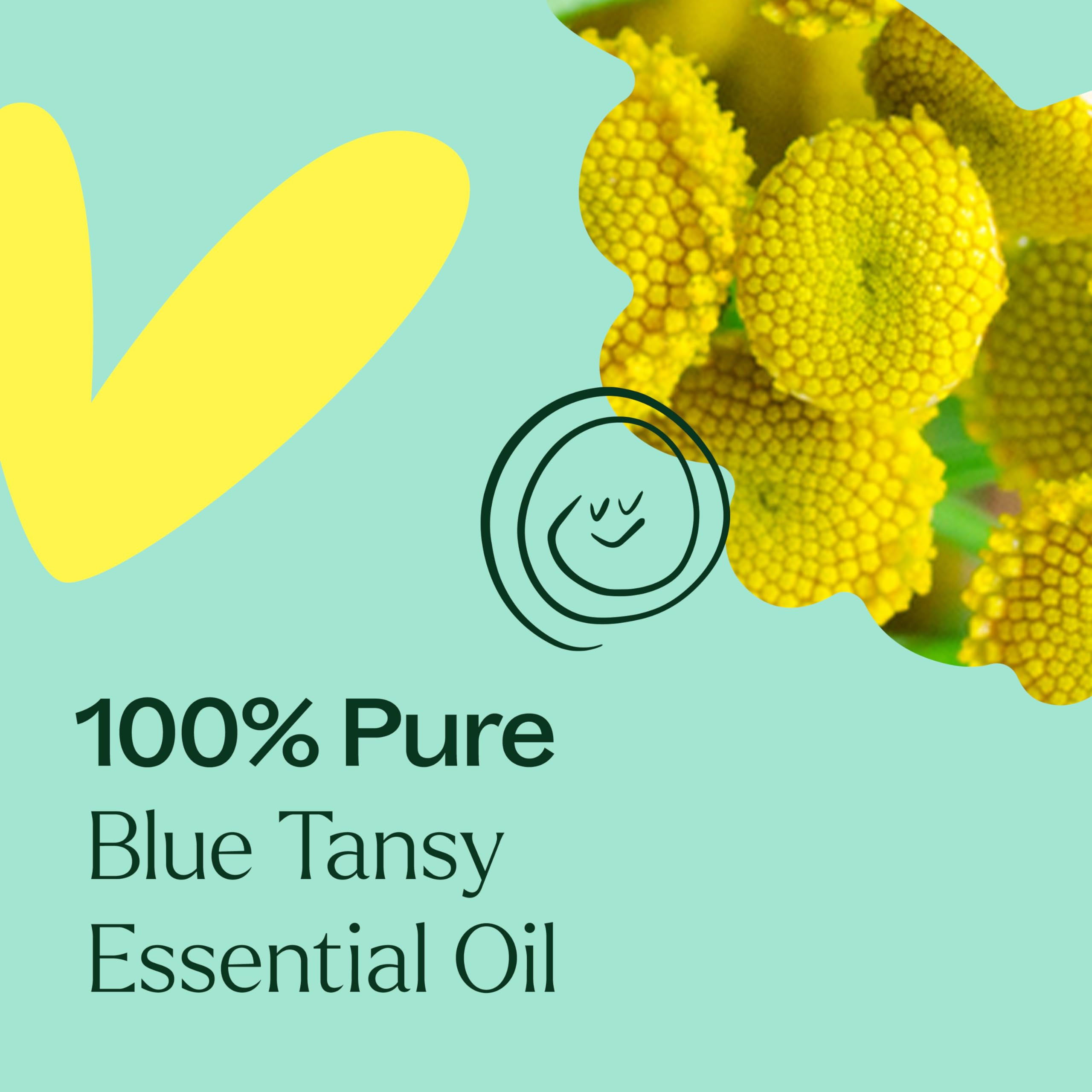 GC-MS report for Blue Tansy essential oil