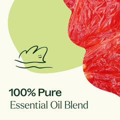 Plant Therapy Brain Aid packaging and branding