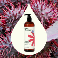 Close-up of Plant Therapy Castor Oil label with USDA Organic seal
