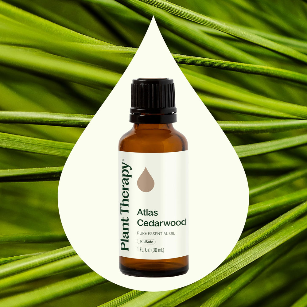 Label for Plant Therapy Atlas Cedarwood essential oil
