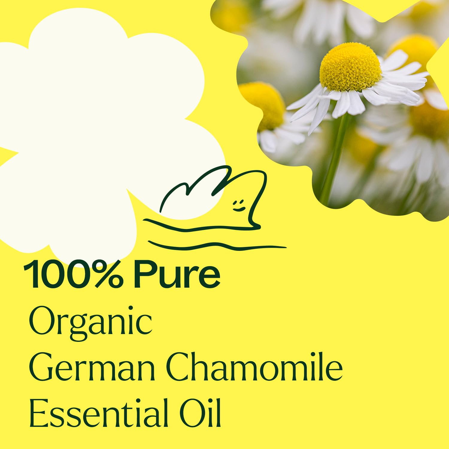 Close-up of amber bottle with chamomile oil and label