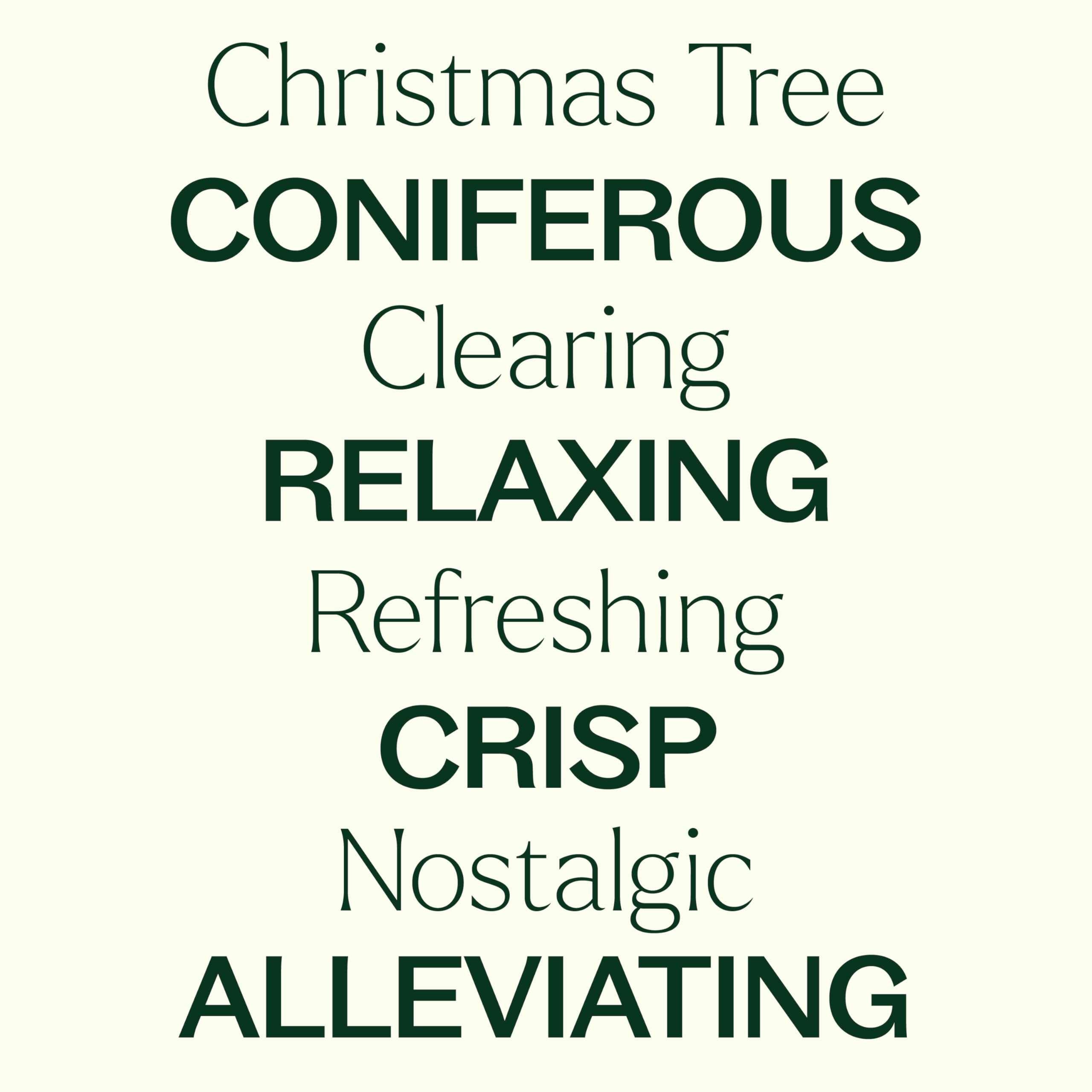 Fresh-cut fir greenery and pine cones with holiday decor
