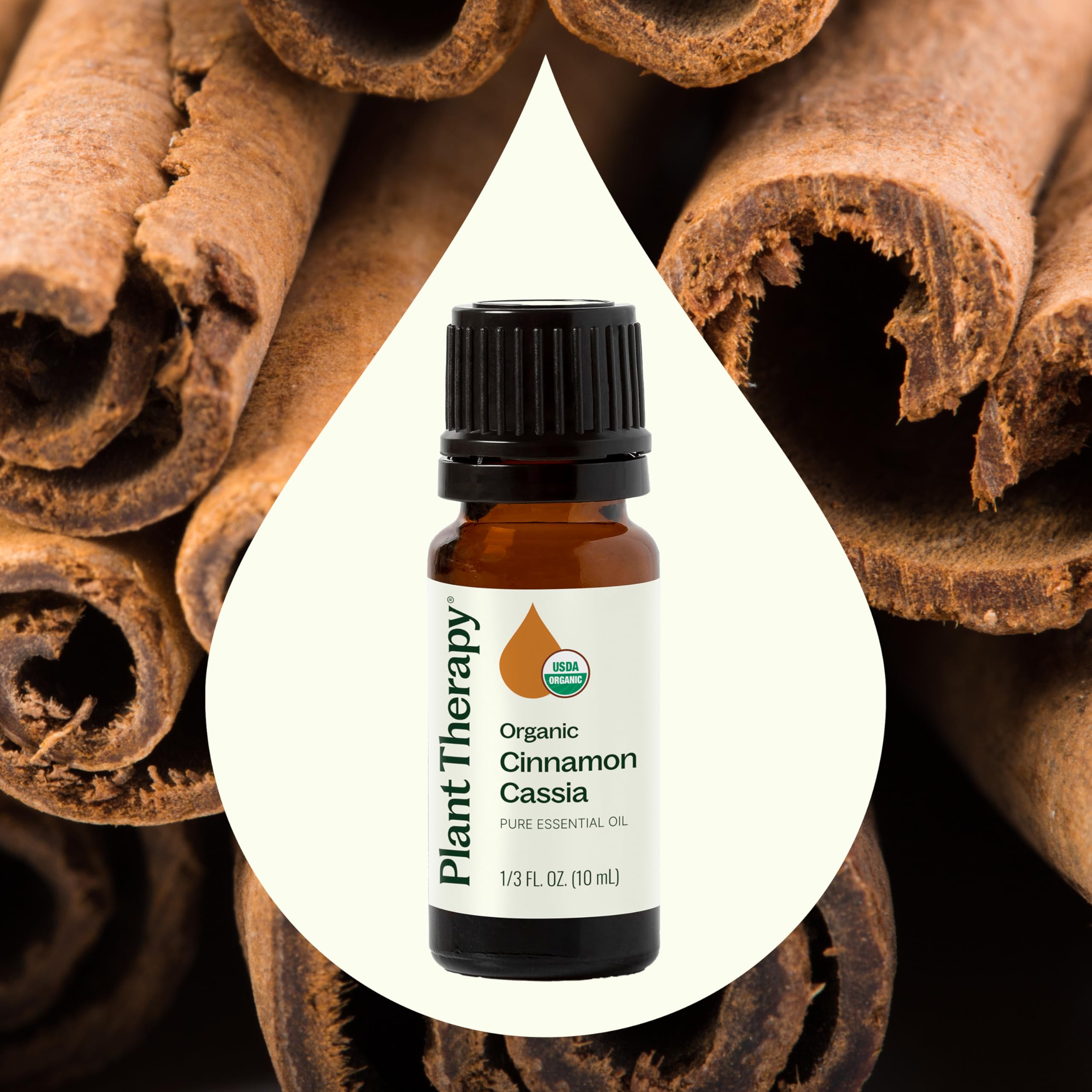 Label close-up of Plant Therapy Cinnamon Cassia Organic Essential Oil