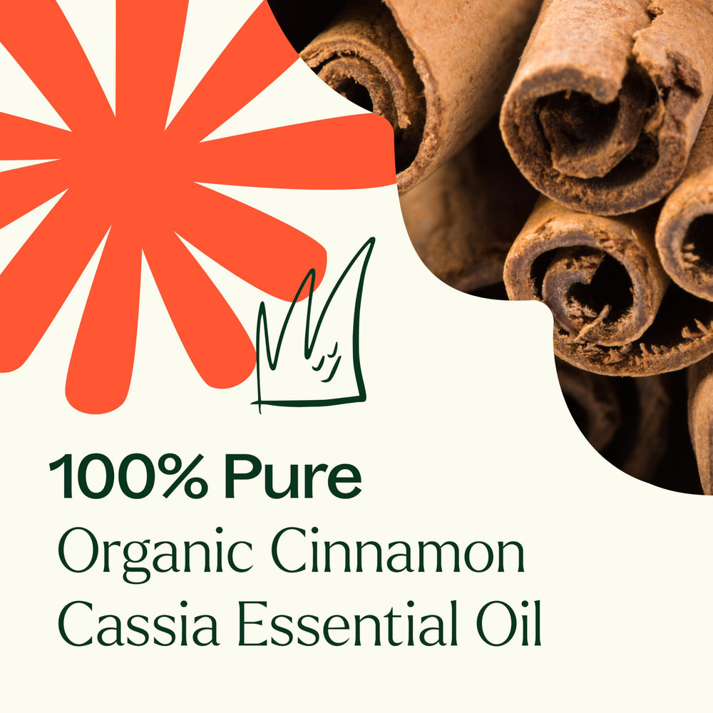 Morocco-sourced Cinnamon Cassia essential oil in a glass bottle