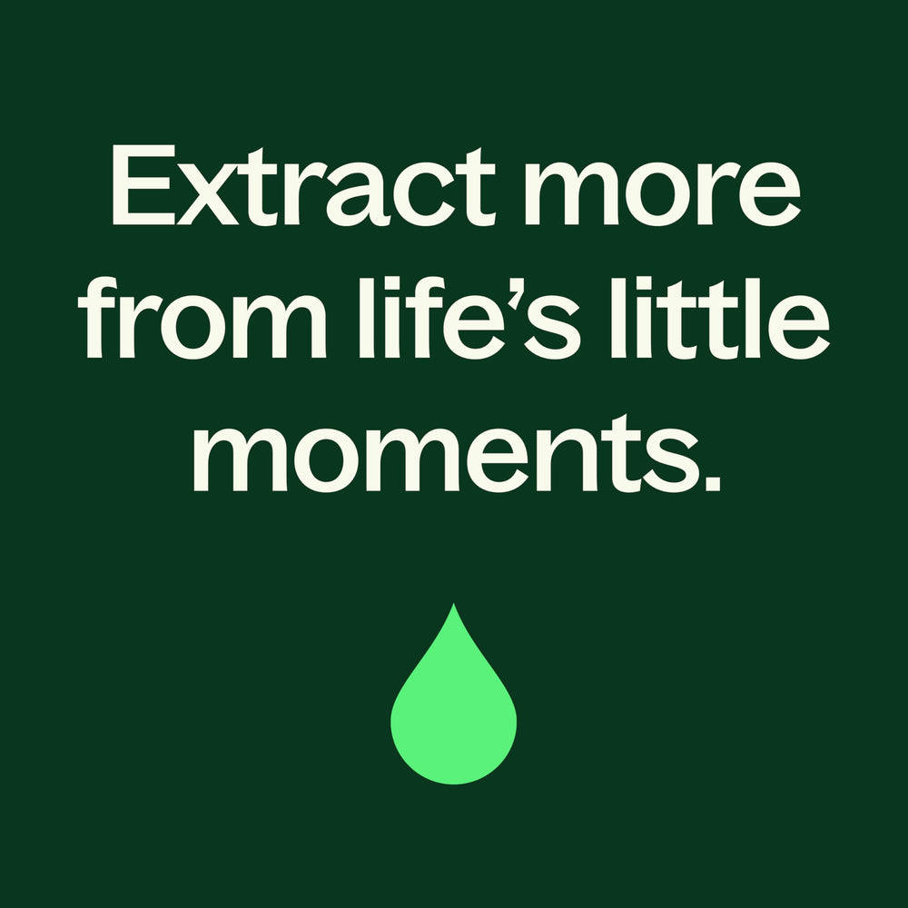 Aromatherapy diffuser releasing Cinnamon Cassia aroma