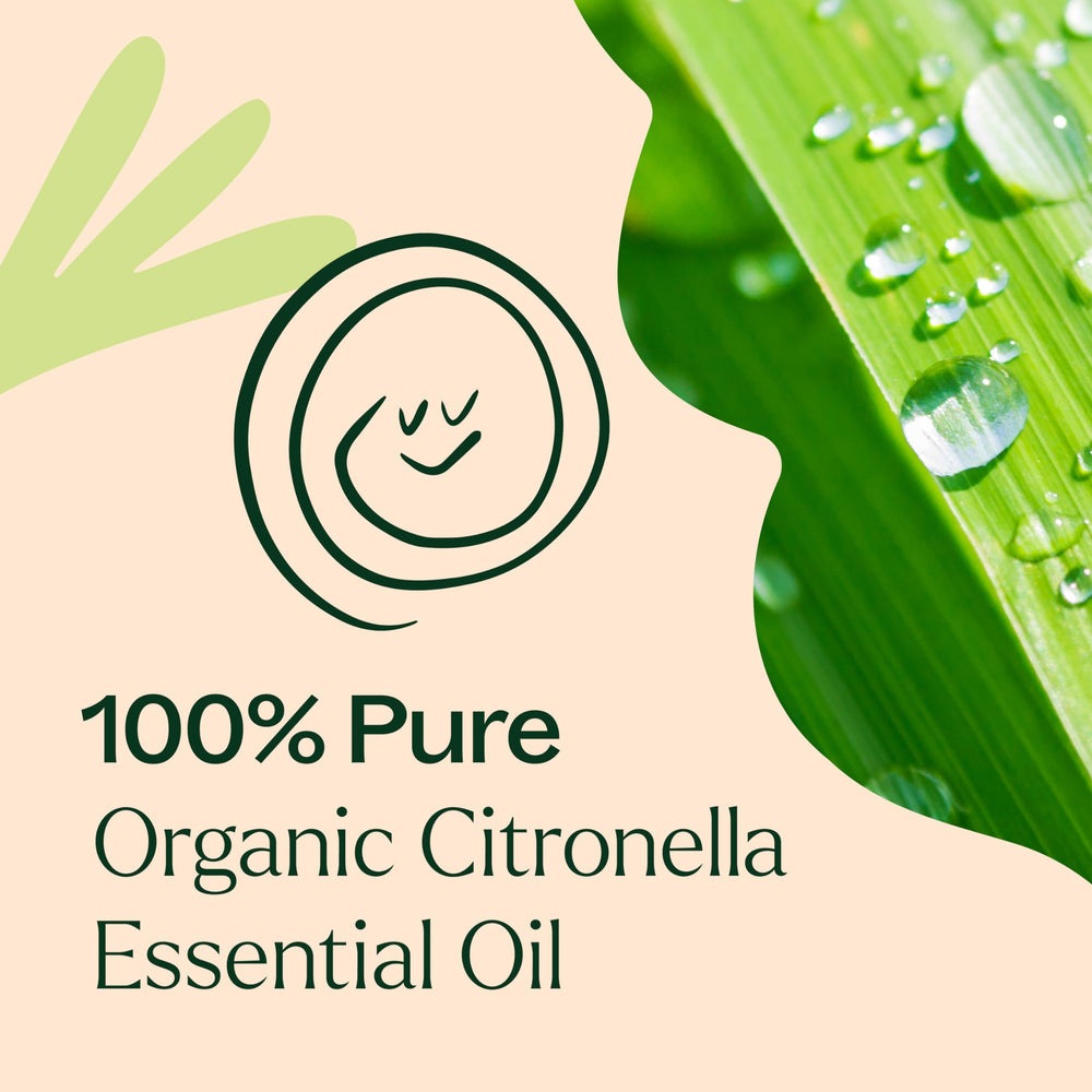 GC-MS batch report image for Citronella Organic Essential Oil