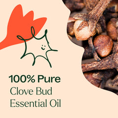 Product packaging box for Plant Therapy Clove Bud Essential Oil
