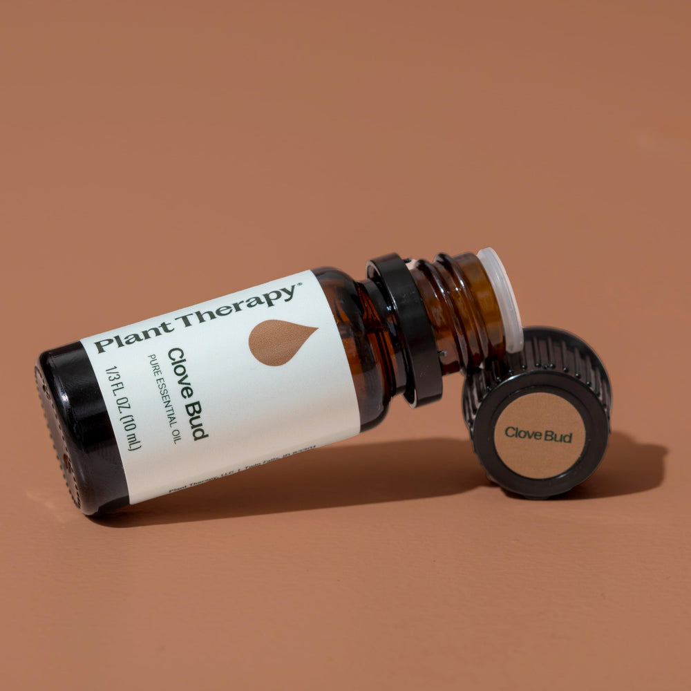 Essential oil diffuser with clove and spice aroma scene